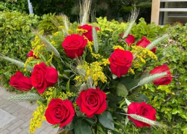 flores